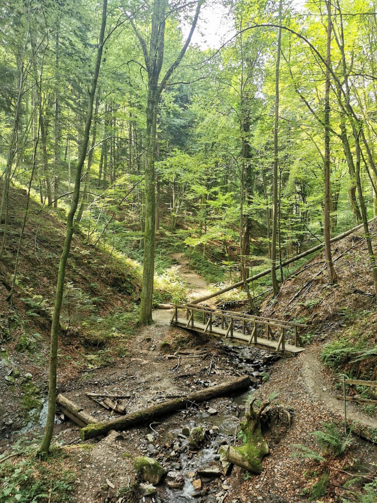 Traumhaftes Ferienhaus Am Lateinberg - 8455 Eibiswald Suedsteiermark Экстерьер фото